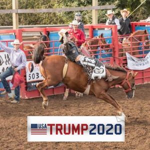 Meet your Posher, Davis